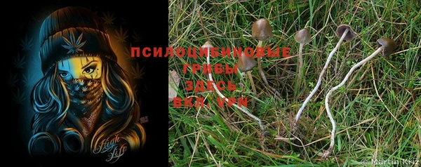 экстази Волосово
