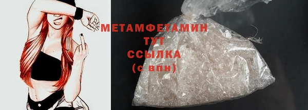 прущие грибы Верхний Тагил