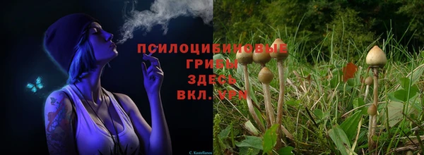 таблы Вяземский